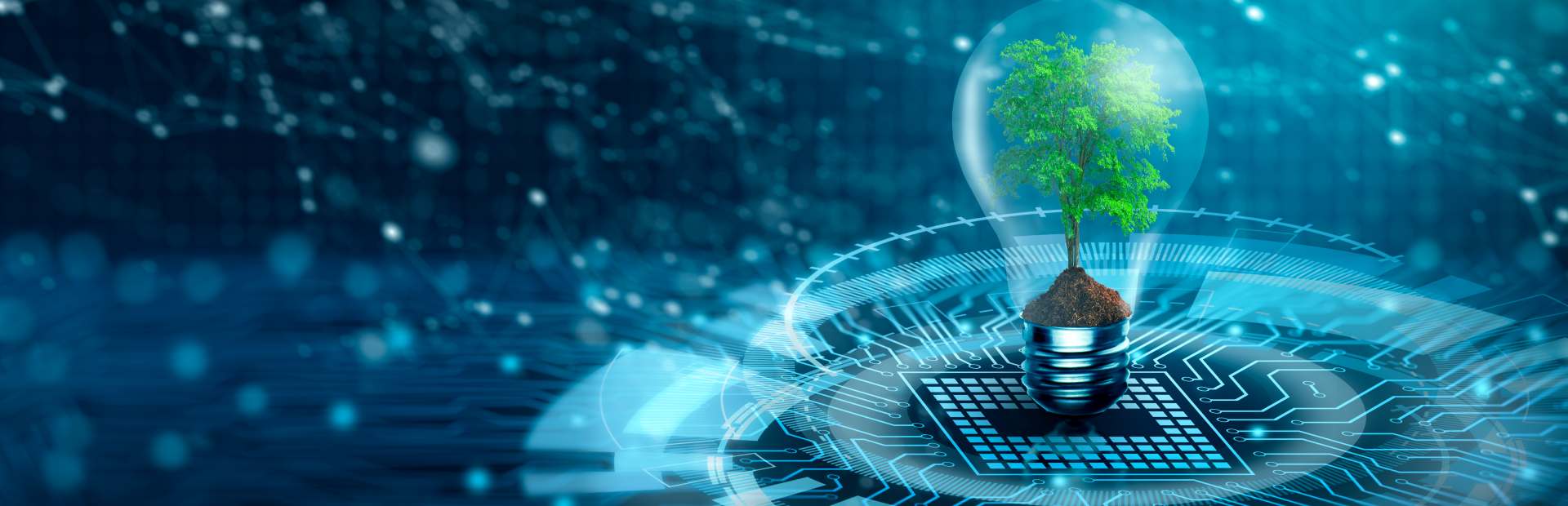 header-mvo-green-planet MVO